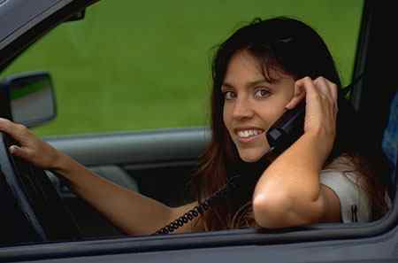 Die "5 Tiere" im Auto